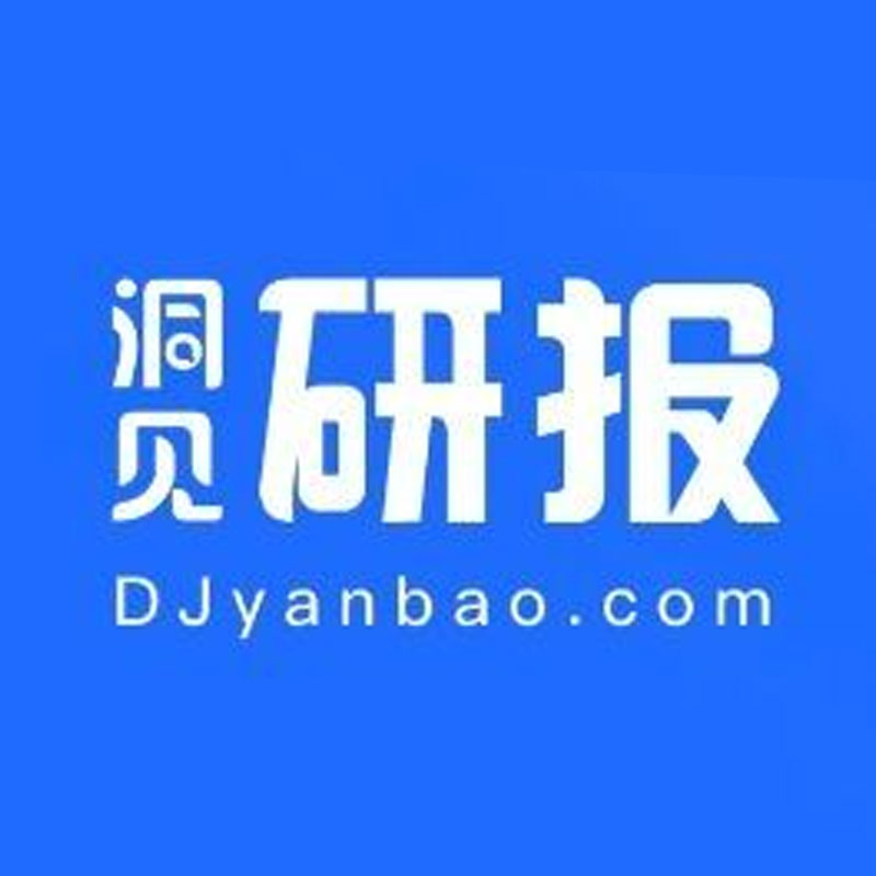 洞见研报