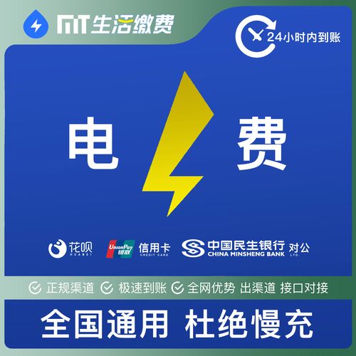 国网电费充值100元 充值户号